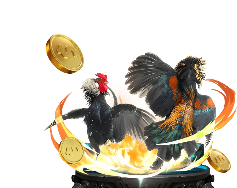 Giới thiệu đá gà trực tuyến NN88N